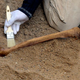 Image for article titled Archaeologists Discover Ancient Femur That Could Make Mouthwatering Broth